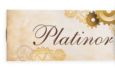 Гарантийный талон Platinor