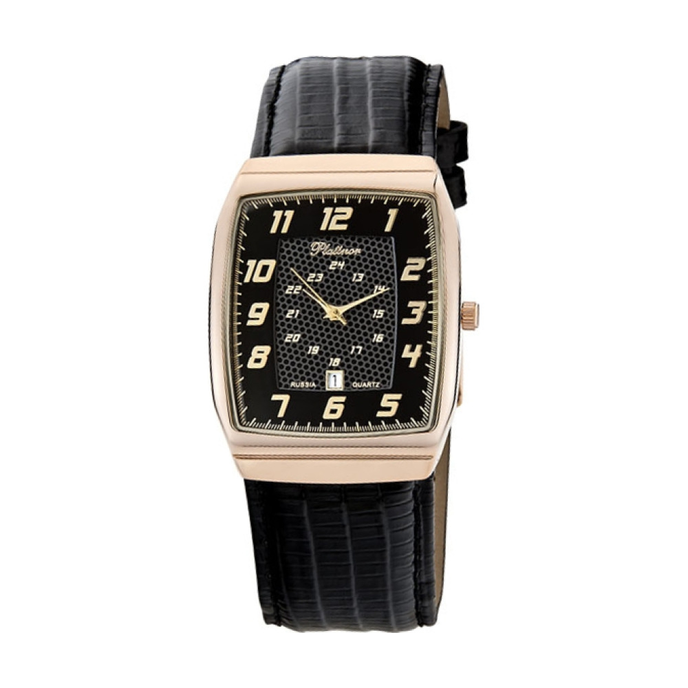 Platinor 51330.507