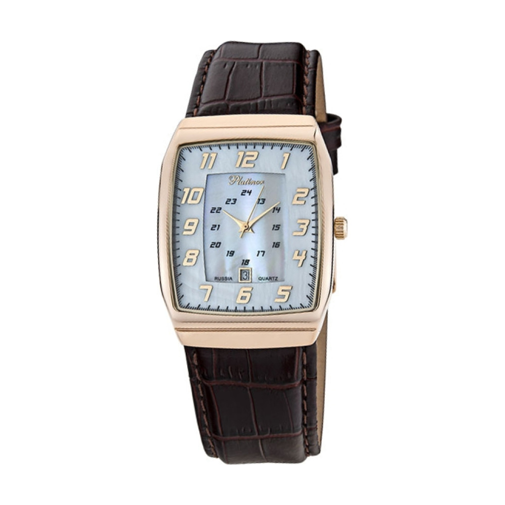 Platinor 51330.307