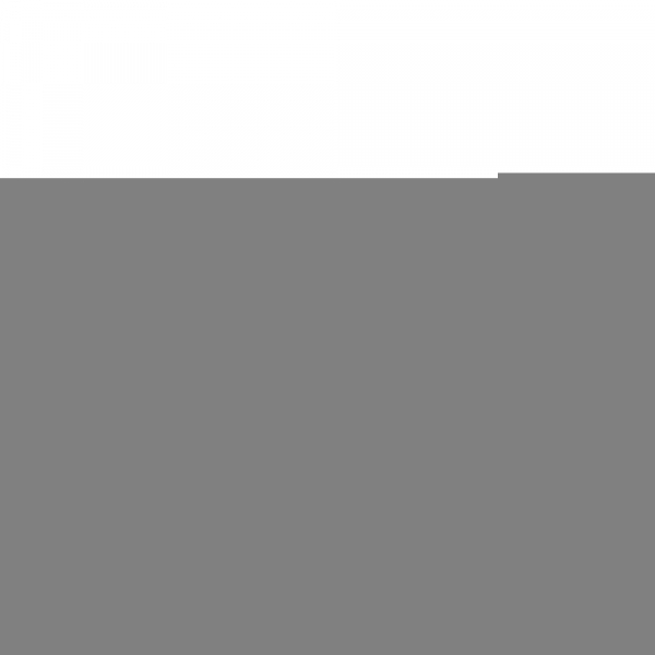 Пуссеты с гранатом № 25719