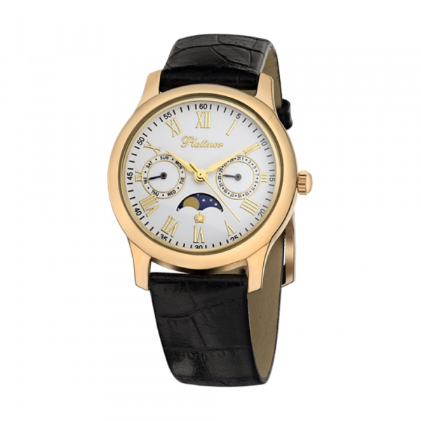 Platinor 54850-1.115